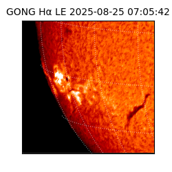 gong - 2025-08-25T07:05:42