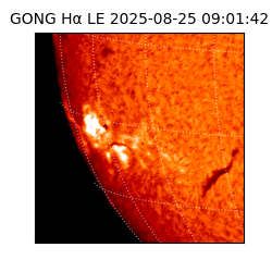 gong - 2025-08-25T09:01:42