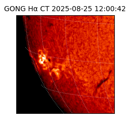 gong - 2025-08-25T12:00:42