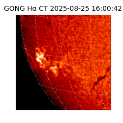 gong - 2025-08-25T16:00:42