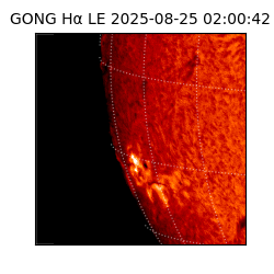 gong - 2025-08-25T02:00:42