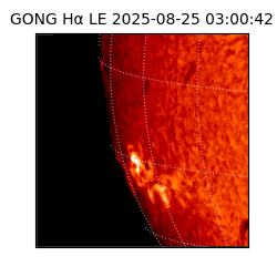 gong - 2025-08-25T03:00:42