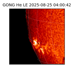 gong - 2025-08-25T04:00:42