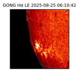 gong - 2025-08-25T06:10:42