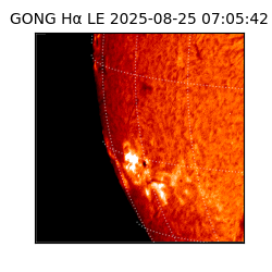 gong - 2025-08-25T07:05:42