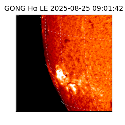 gong - 2025-08-25T09:01:42