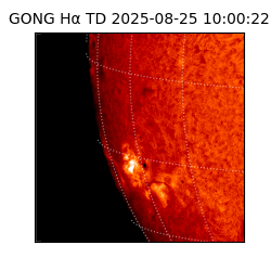 gong - 2025-08-25T10:00:22