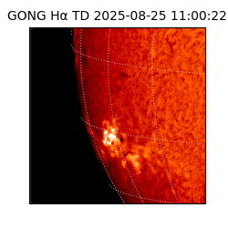 gong - 2025-08-25T11:00:22