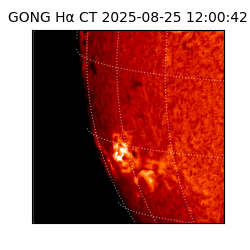 gong - 2025-08-25T12:00:42