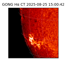 gong - 2025-08-25T15:00:42