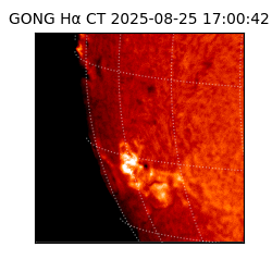 gong - 2025-08-25T17:00:42