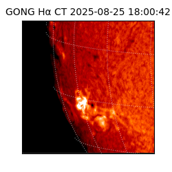 gong - 2025-08-25T18:00:42