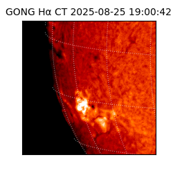 gong - 2025-08-25T19:00:42