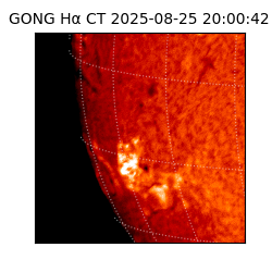 gong - 2025-08-25T20:00:42
