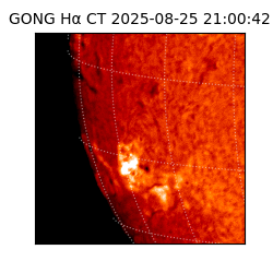 gong - 2025-08-25T21:00:42