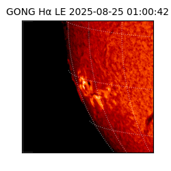 gong - 2025-08-25T01:00:42