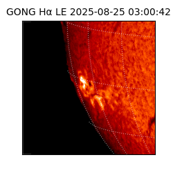 gong - 2025-08-25T03:00:42