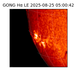 gong - 2025-08-25T05:00:42