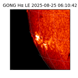 gong - 2025-08-25T06:10:42