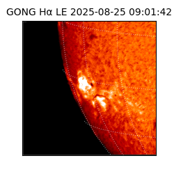 gong - 2025-08-25T09:01:42