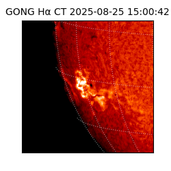 gong - 2025-08-25T15:00:42