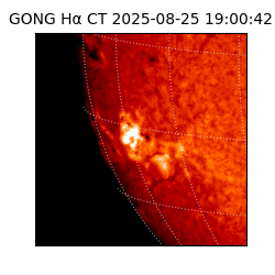 gong - 2025-08-25T19:00:42