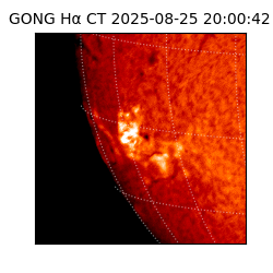 gong - 2025-08-25T20:00:42