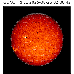 gong - 2025-08-25T02:00:42