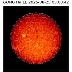 gong - 2025-08-25T03:00:42