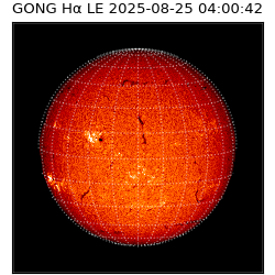 gong - 2025-08-25T04:00:42