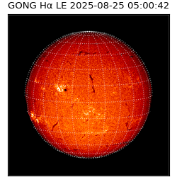 gong - 2025-08-25T05:00:42