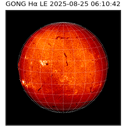 gong - 2025-08-25T06:10:42