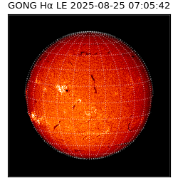 gong - 2025-08-25T07:05:42