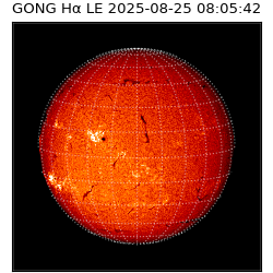 gong - 2025-08-25T08:05:42