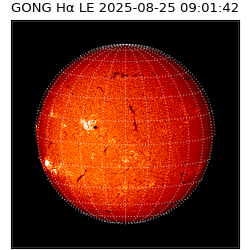 gong - 2025-08-25T09:01:42