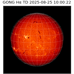 gong - 2025-08-25T10:00:22