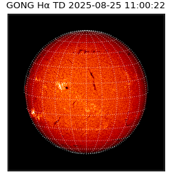 gong - 2025-08-25T11:00:22