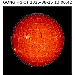 gong - 2025-08-25T13:00:42