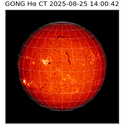 gong - 2025-08-25T14:00:42