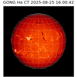 gong - 2025-08-25T16:00:42