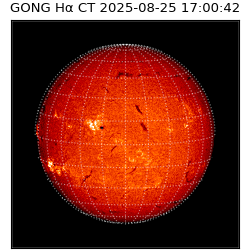 gong - 2025-08-25T17:00:42