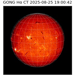 gong - 2025-08-25T19:00:42