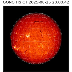 gong - 2025-08-25T20:00:42