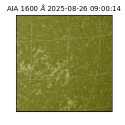 saia - 2025-08-26T09:00:14.125000