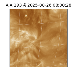 saia - 2025-08-26T08:00:28.843000