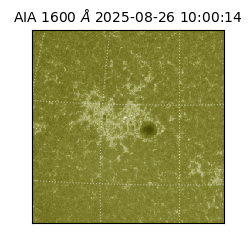 saia - 2025-08-26T10:00:14.125000