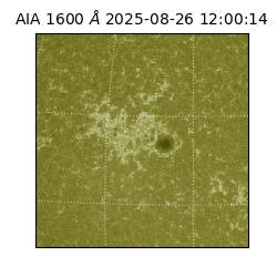 saia - 2025-08-26T12:00:14.125000