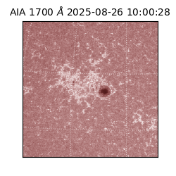 saia - 2025-08-26T10:00:28.709000