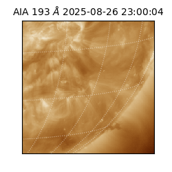 saia - 2025-08-26T23:00:04.835000