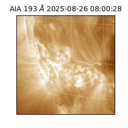 saia - 2025-08-26T08:00:28.843000